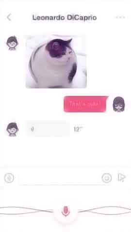 网站压力测试软件程序维护界面